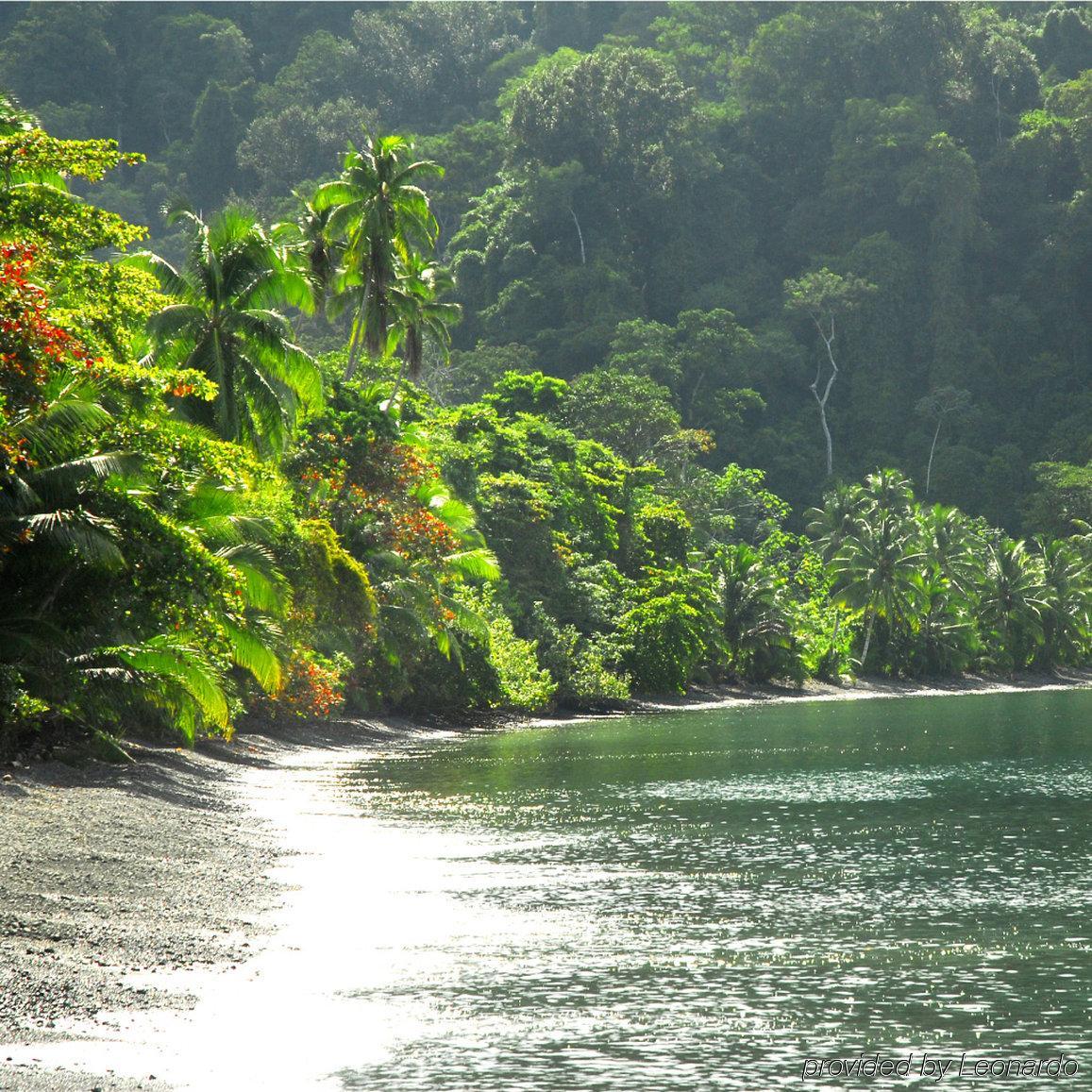 Playa Nicuesa Rainforest Eco Sanctuary Golfito Extérieur photo